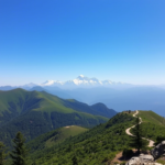 Wayfarer Weekly